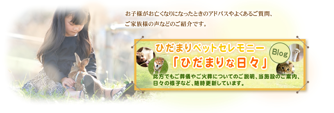ひだまりトピックス